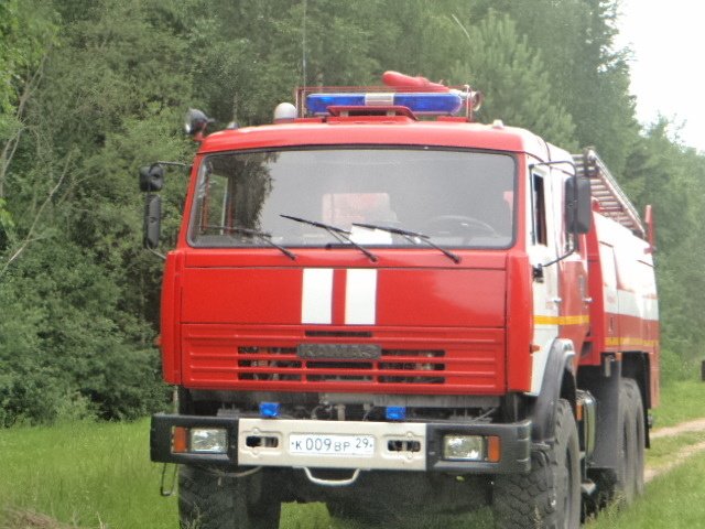 Пожарно-спасательные подразделения выезжали на пожар в Пинежском МО Архангельской области.